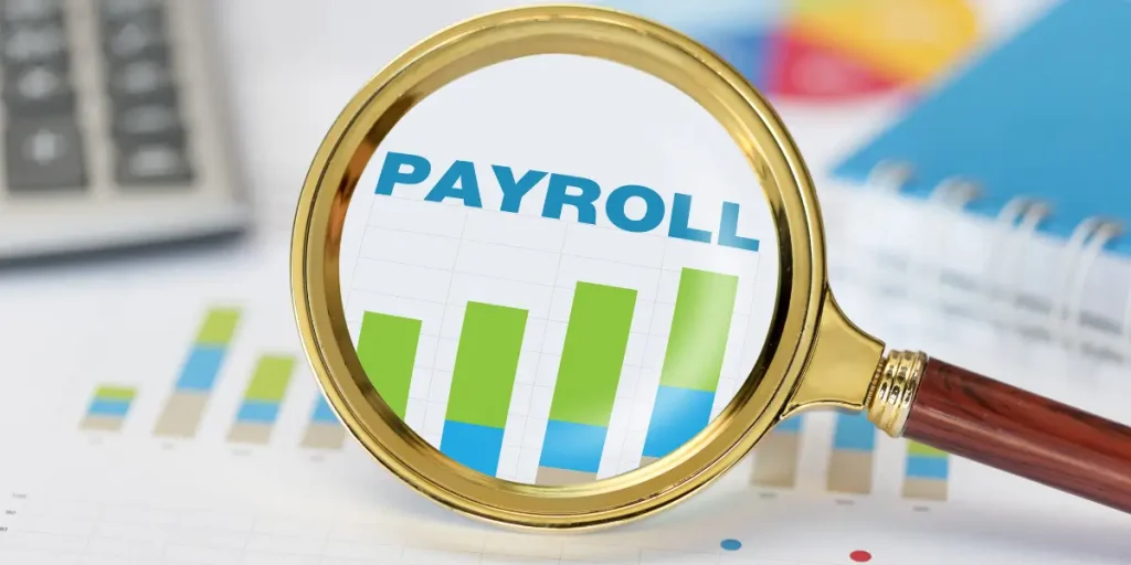 Payroll Software