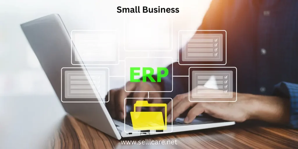 ERP System for Small Business